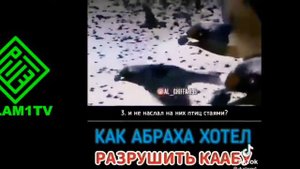 Как АБРАХА ХОТЕЛ РАЗРУШИТЬ КААБУ