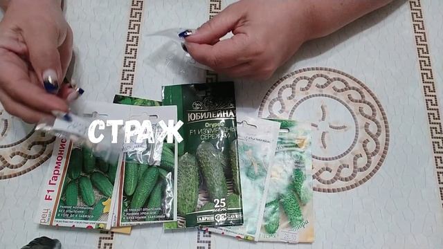 Огурцы семена лучшие самоопыляемые пучковые длительного плодоношения