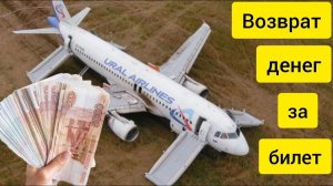 Возврат денег за билеты Уральских авиалиний. Суд с Аэрофлотом. Лайфхаки