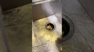 ОБЗОР НА ИЗМЕЛЬЧИТЕЛЬ FRANKE