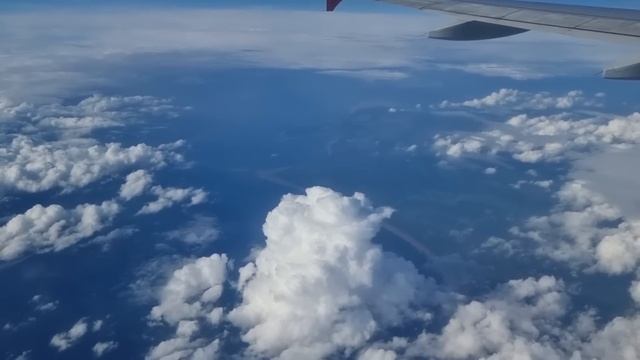 Airbus A319 а/к Уральские авиалинии | Рейс Санкт-Петербург - Екатеринбург смотреть онлайн