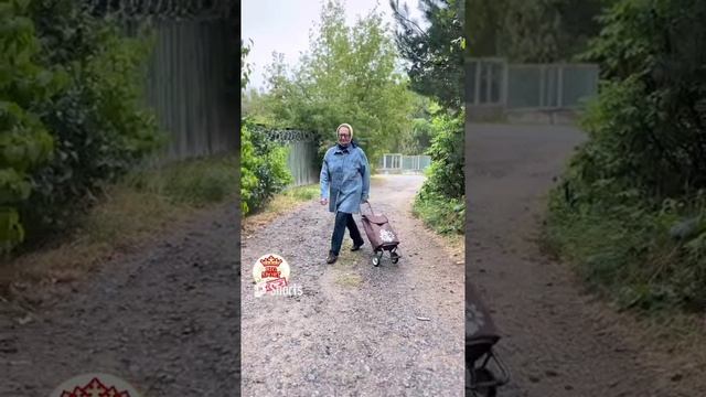 Сумка тележка обзор товара купить можно по ссылке смотреть онлайн