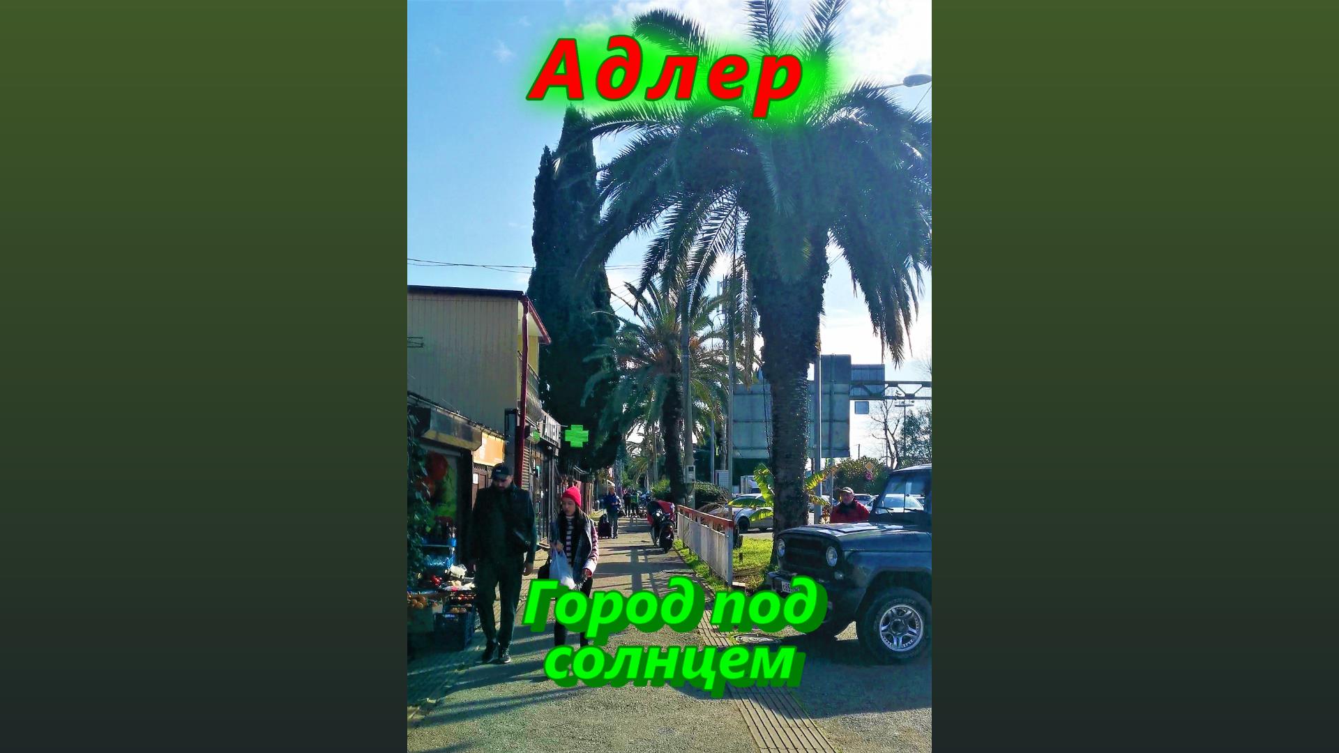 Адлер, город под солнцем