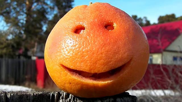 Привет ЧУДЕСНОГО ВЕСЕННЕГО ДНЯ от Грейпфрута смотреть онлайн