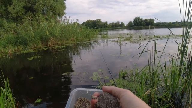 Осенняя рыбалка на поплавок Где ловить рыбу в каких местах смотреть онлайн