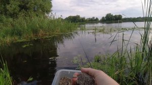 Осенняя рыбалка на поплавок Где ловить рыбу в каких местах