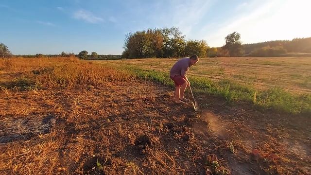 пришла посылка от подписчицы)) пришлось идти в огород))