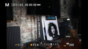 Canon EOS R6 Mark II User's Guide