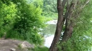 РЕКА БЫСТРАЯ СОСНА - ЕЛЕЦКИЙ ПОРОГ, МЕСТО РЫБАЛКИ В ЛИПЕЦКОЙ ОБЛАСТИ