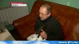 Новорожденные медвежата