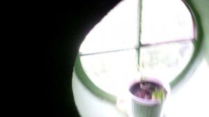 В четырехэтажке