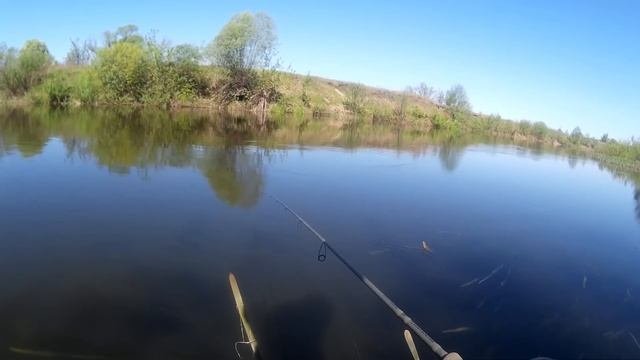 Ловлю ГОЛАВЛЯ / Особенности рыбалки ВЕСНОЙ