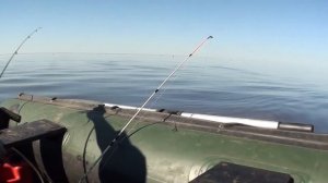 Рыбалка на камбалу. Открытие лодочного сезона! Белое море