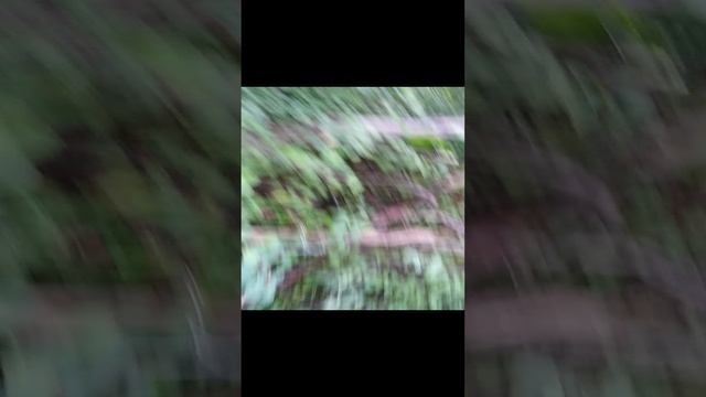 Металлокоп, копаю металл