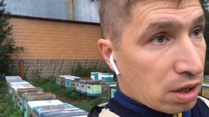 Закормка пчёл на зиму, результат обработки пчёл сублиматором