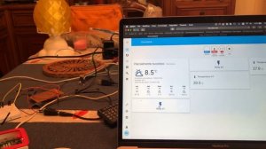 Home Assistant, EspHome, Docker, RPI 3B, ESP32 = Domotica