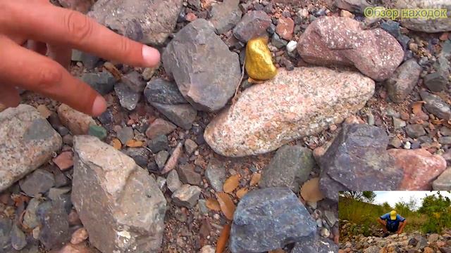 Старинная монета сама державец 1729 года смотреть онлайн