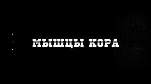 Грег Плитт тренировался так, попробуй! | Грег Плитт Тренинг | Георгий Стадник | 2022
