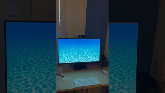 Кто сказал, что компьютерные игры только для людей? смотреть онлайн