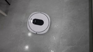 Roidmi EVA Review - How is the Hands-Free Cleaning Experience?