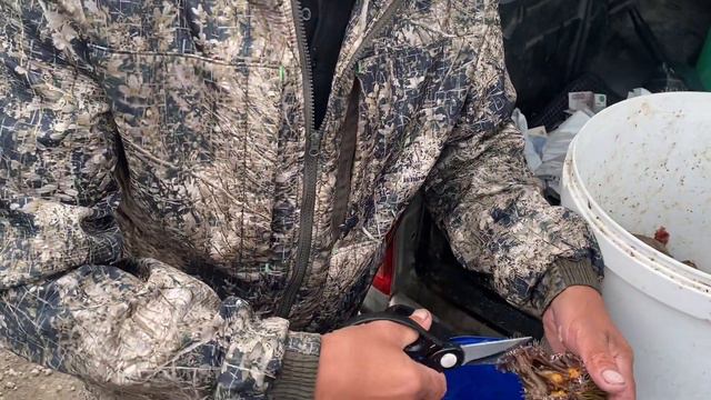 Териберка. На краю земли смотреть онлайн