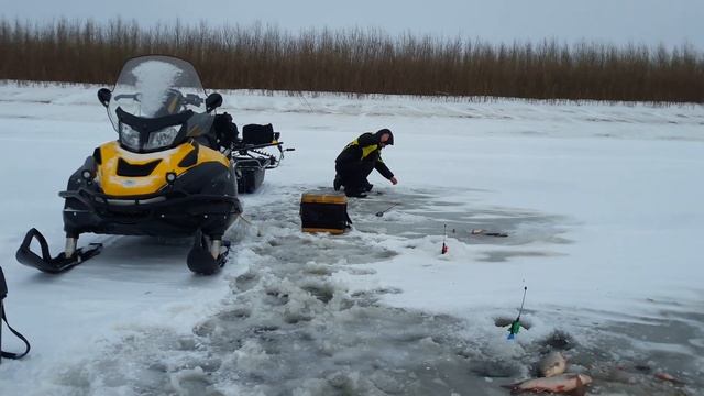 Зимняя рыбалка в Нижневартовске