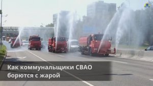 Как коммунальщики СВАО борются с жарой