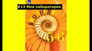 Биология| параграф #13 Моя лаборатория
