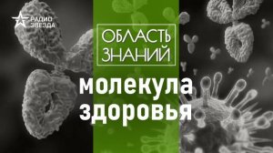 Что нужно знать об антителах. Лекции биолога Дмитрия Кулиша