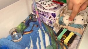 Алиса показывает ДОМИК для СОБАЧЕК ! Силиконовые собаки игрушки ! Silicone dogs toys !
