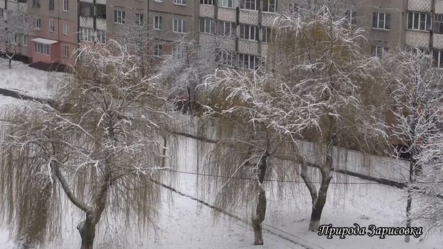 Леди Винтер, КРАСАВИЦА  Зима со СНЕГОПАДОМ | Красивое Видео о ЗИМЕ Вид из Окна для Релаксации