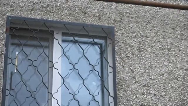 Мейн-кун на охоте смотреть онлайн