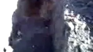 жесть. Вскрытие могил