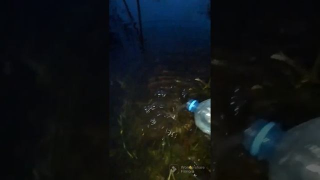 вечерняя зорька на Абакане смотреть онлайн