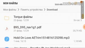 Настройка ELM 327 Torque Сценик 3 Меган 3 dci1.5