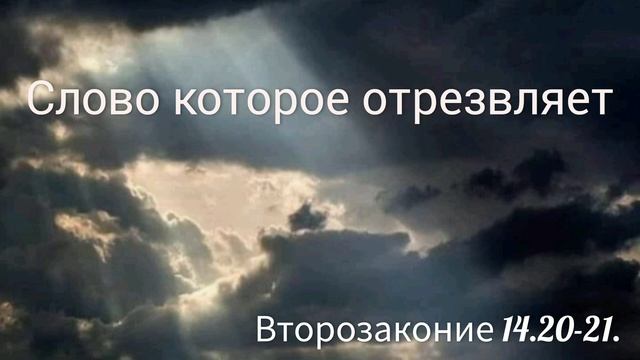Слово которое отрезвляет.