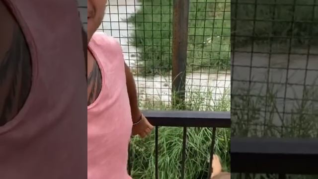 ТАЙГАН! "ГЕРОЕВ" НАДО ЗНАТЬ В ЛИЦО! НА ЧТО ИДУТ ради СЕЛФИ? смотреть онлайн