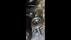Замена сальника полуоси OPEL SIGNUM / VECTRA C Direct 2.2 и частичная замена масла ATF