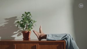 Красивые домашние цветы, легкие в уходе