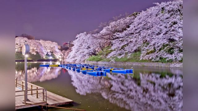 Поздравление, открытое письмо, сказочное путешествие в страну восходящего солнца от N@t@LY Kov@lSKY смотреть онлайн