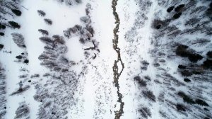Шифтинг медитация I Как попасть в Хогвардс? I SHIFTING REALITES I Ошибки при шифтинге I Скрипты