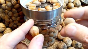 Фундук Пирожок и Косфорд. Ботаническая дегустация фундука