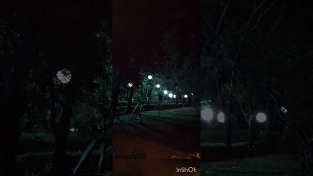 The Palm Lodge, Bogor, West Java, Indonesia. смотреть онлайн