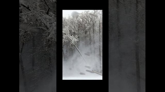 Зима Ночь Метель Воющий ветер и звуки вьюги для сна, отдыха