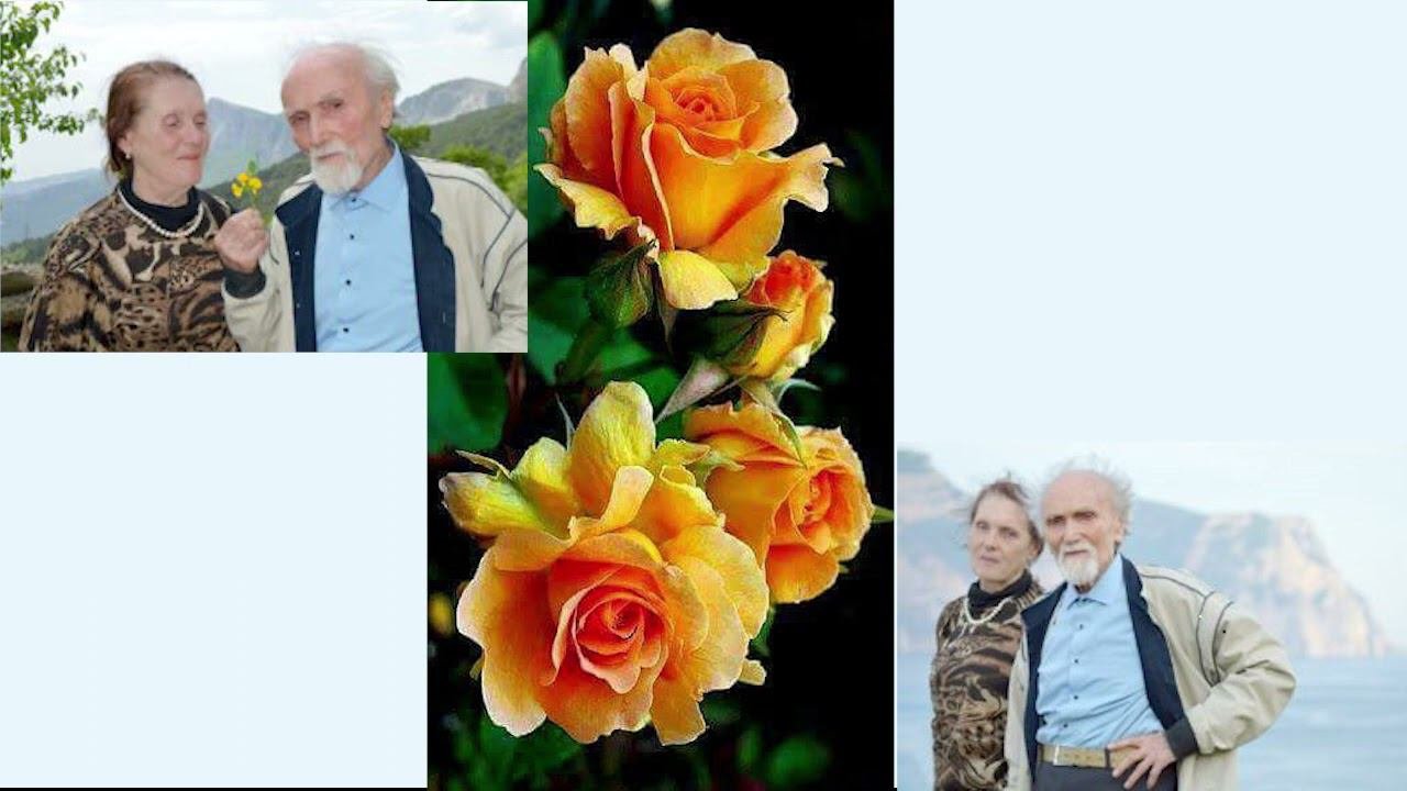 О рождении Ялтинского предприятия Таврия