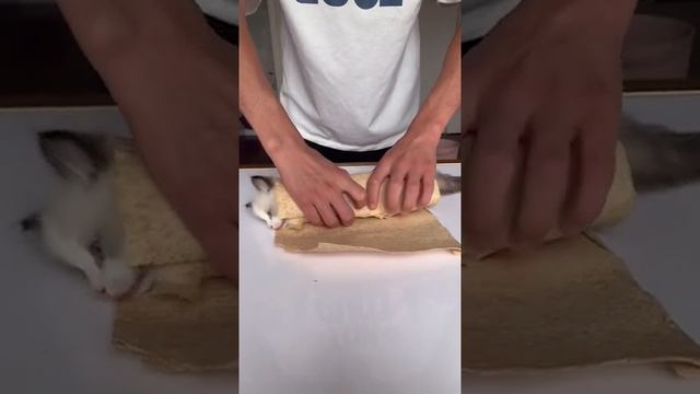 шаурма из кота прикол смотреть онлайн