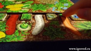 Червячки-огородники. Обзор настольной игры от Игроведа..mp4