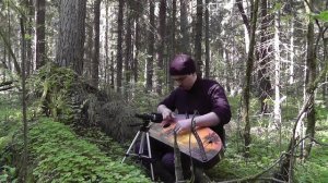 Сумеречная ярмарка Гусельная миниатюра / Гусли - Гусляр Андрей Андреев 2021 г.