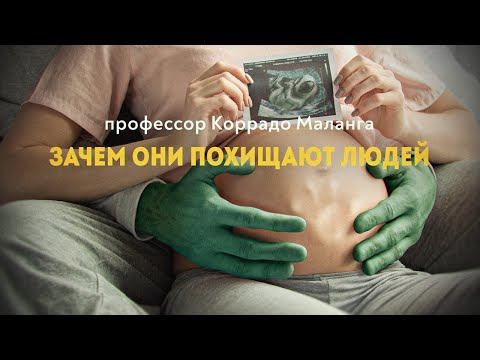 Жрецы великой религии и паразиты сознания