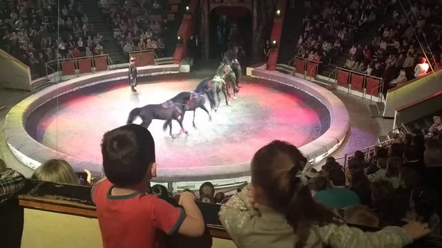 Цирк Лошади смотреть онлайн